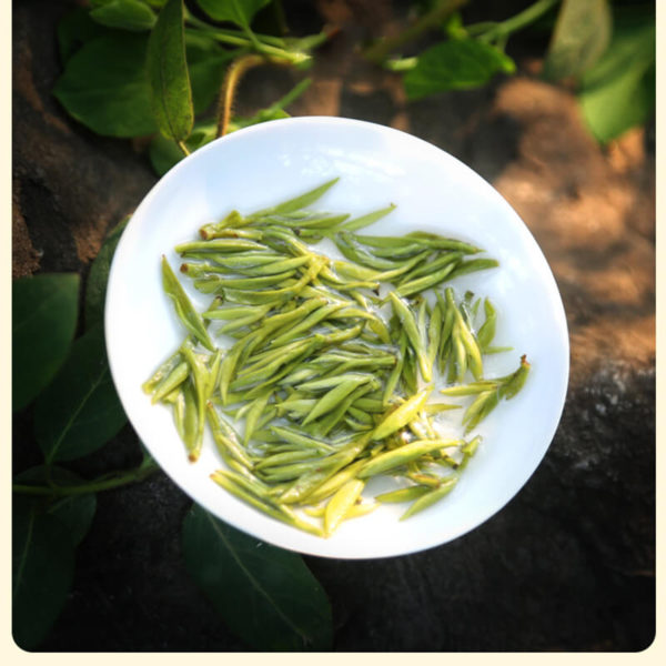 Special Grade Bi Luo Chun Green Tea