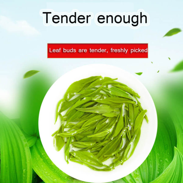 Supreme Organic Xin Yang Maojian Green Tea - Image 3