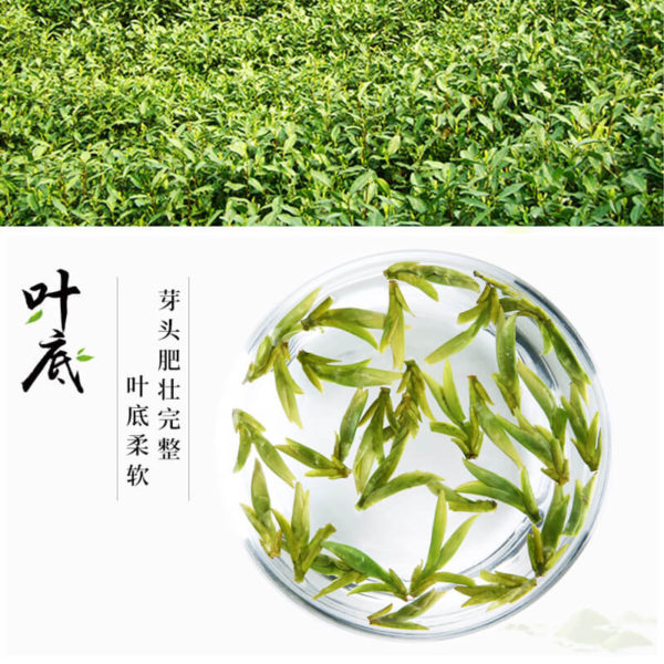 Special Grade A Long Jing Dragon Well Tea - Image 2